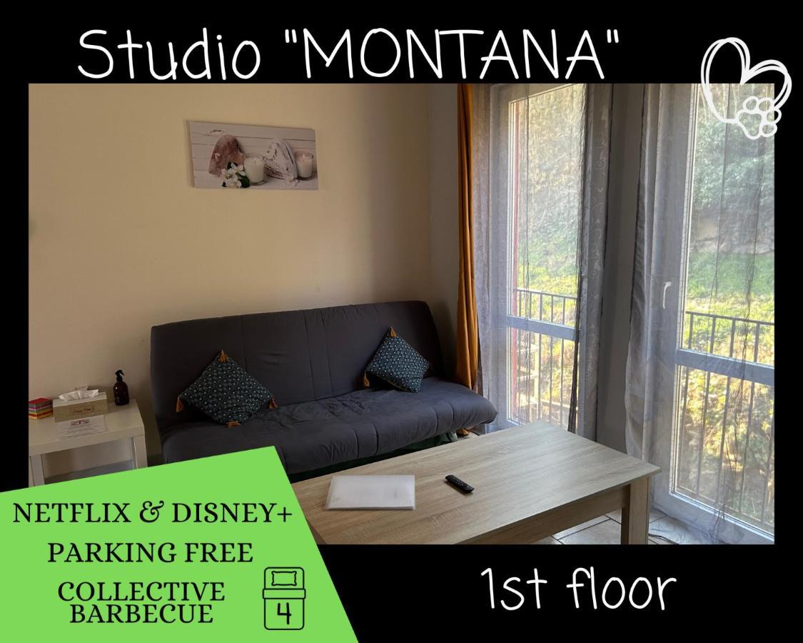 L'Arizona Dinant - Studio Montana - Barbecue, Free Parking, Dog Ok Bagian luar foto